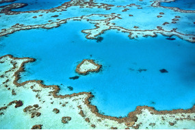 Australasia & Pacific cruises - Great Barrier Reef